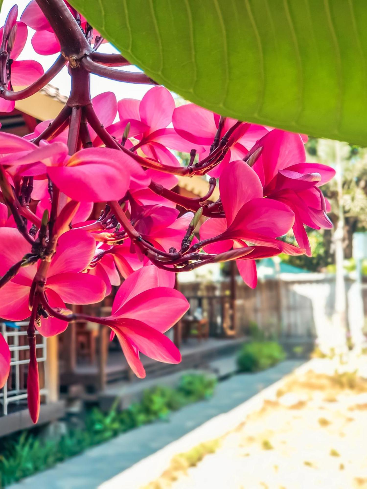 Leaf Coco Bungalow Gili Air Kültér fotó