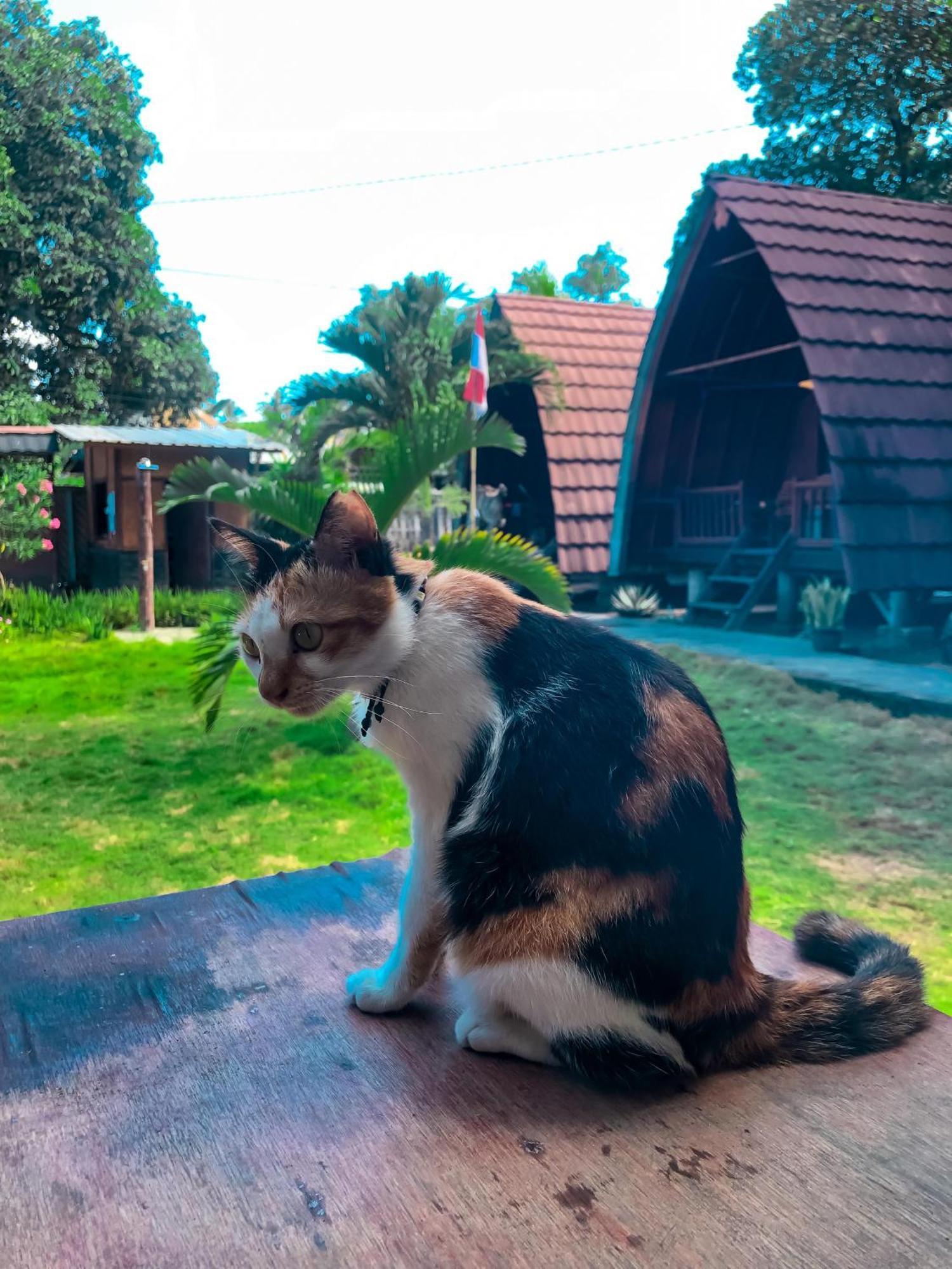 Leaf Coco Bungalow Gili Air Kültér fotó