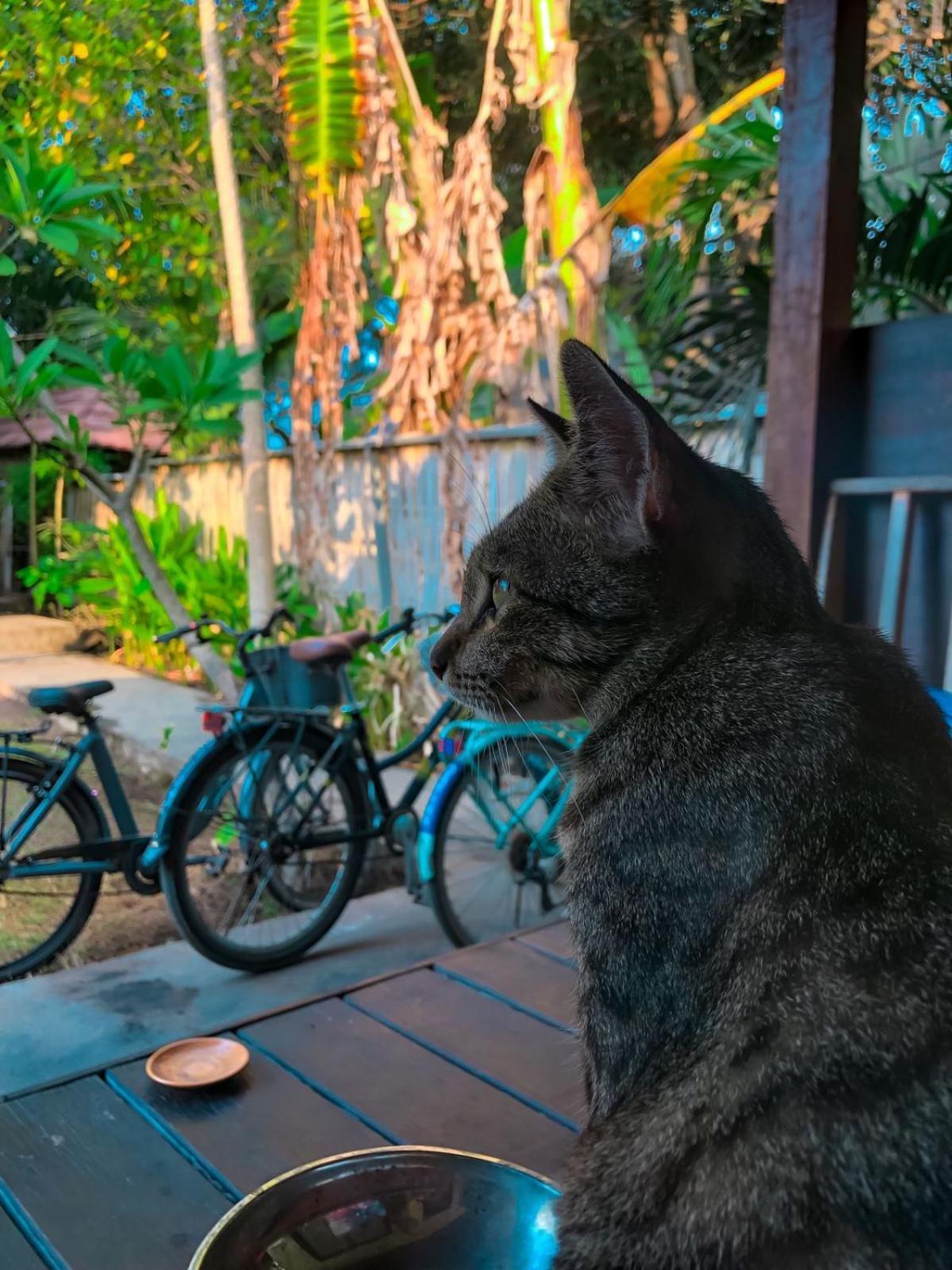 Leaf Coco Bungalow Gili Air Kültér fotó