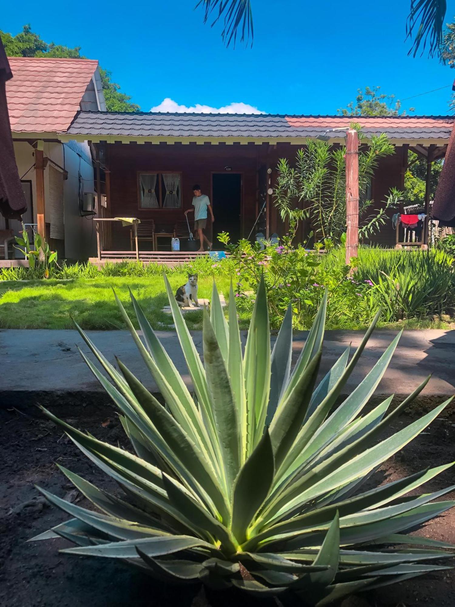 Leaf Coco Bungalow Gili Air Kültér fotó